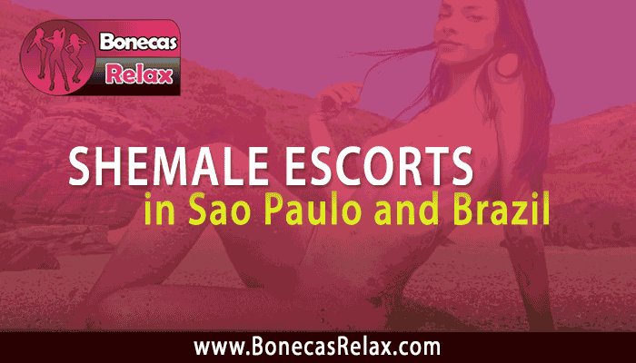 travestis acompanhante sao paulo